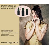 logo Ivana Švarcová