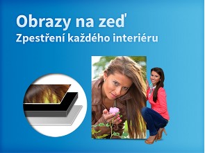 Obrazy na zeď