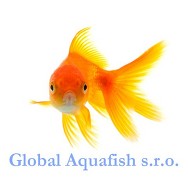 logo Giga Exotic