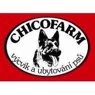 logo Alois Březík
