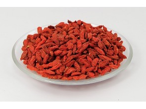 Goji - kustovnice čínská