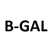 logo B-GAL spol.s.r.o.