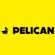 logo Jazyková škola s právem státní jazykové zkoušky PELICAN