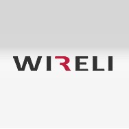 logo Wireli LED - Světlo které hledáte