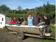 Teambuilding ()