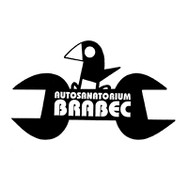 logo AUTOSANATORIUM BRABEC s.r.o. - Servis vozidel