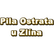 logo Dřevo - products s.r.o. - Pila Zlín