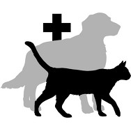 logo MVDr. Blanka Tešnarová