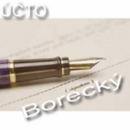 logo Účetní služby, poradenství, daňová přiznání
