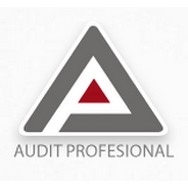 logo AUDIT PROFESIONAL, spol. s r. o.