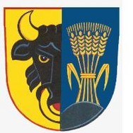 logo SBIS, s.r.o. - Bezpečnostní a úklidová služba