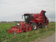 Terra Dos T4-30 ()