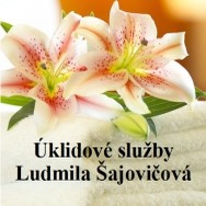 logo Ludmila Šajovičová, úklidový servis