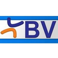 logo BV BRUMOVICE VÝTAHY s.r.o.
