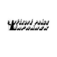 logo Kamil Šafránek