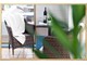 Wellness ()