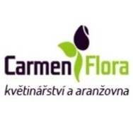 logo Carmen Team, s.r.o.