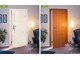 RENOVACE DVEŘÍ A DOMOVNÍCH DVEŘÍ ()
