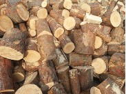 Špalkované dřevo – měkké ()