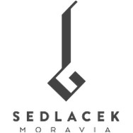 logo Lukáš Sedláček - kytarář