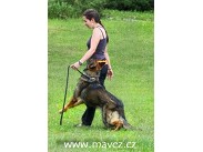 Výcvikové kurzy- 10 lekcí ()