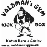 logo SK Valdman's gym