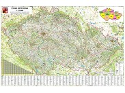 Nástěnná mapa: Česká republika 250 - obří ()