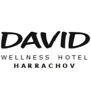 logo David wellness hotel Harrachov - ubytování na horách