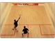 Squash ()