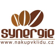logo Iva Škodová SYNERGIE Náchod