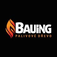 logo BAUING - CZ, s.r.o.