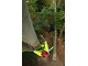 Arboristika ()