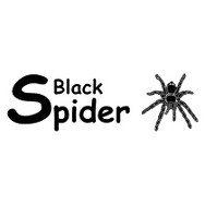 logo BlackSpider