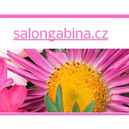 logo Salon Gábina