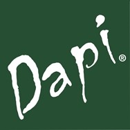 logo DAPI, s.r.o.