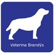 logo Veterinární klinika Brandýs