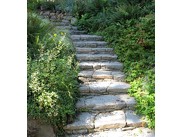 Kamenné schody v zahradě