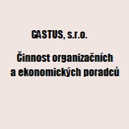 logo Castus, s.r.o. - Činnost organizačních a ekonomických poradců