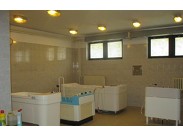 Rehabilitační služby ()