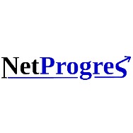 logo Ladislav Pospíšil - NetProgres