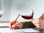 Základy sommelierství, vína a vinařství ČR ()
