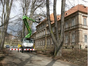 Péče o stromy