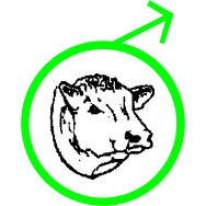 logo "Odchovna plemenných býků Cunkov s.r.o."