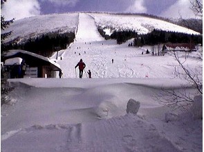 Lyžování