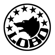 logo Ing. Pavel Vlk