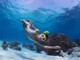 Freediving ()