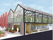 SketchUp ()