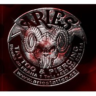 logo ARIES
