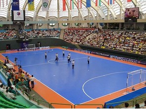 Sport Court - umělé modulové sportovní povrchy pro víceúčelová hřiště