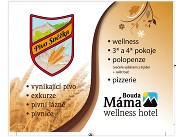 Minipivovar ()